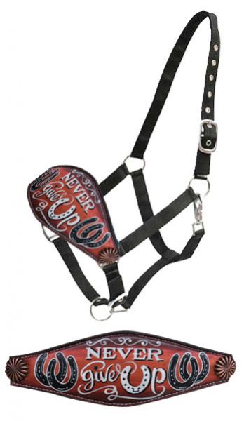 Licol western nylon, muserolle large en cuir « Never give up », cob