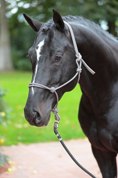 Licol éthologique en corde bleu marine et beige, poney, cob ou full