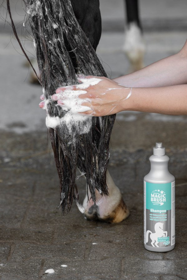Shampoing cheval MagicBrush aux protéines de blé et panthénol, 1 L