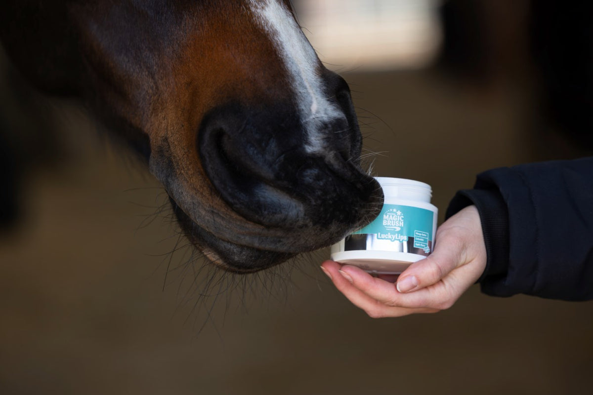 Baume à lèvres pour chevaux MagicBrush Lucky Lips, goût pomme