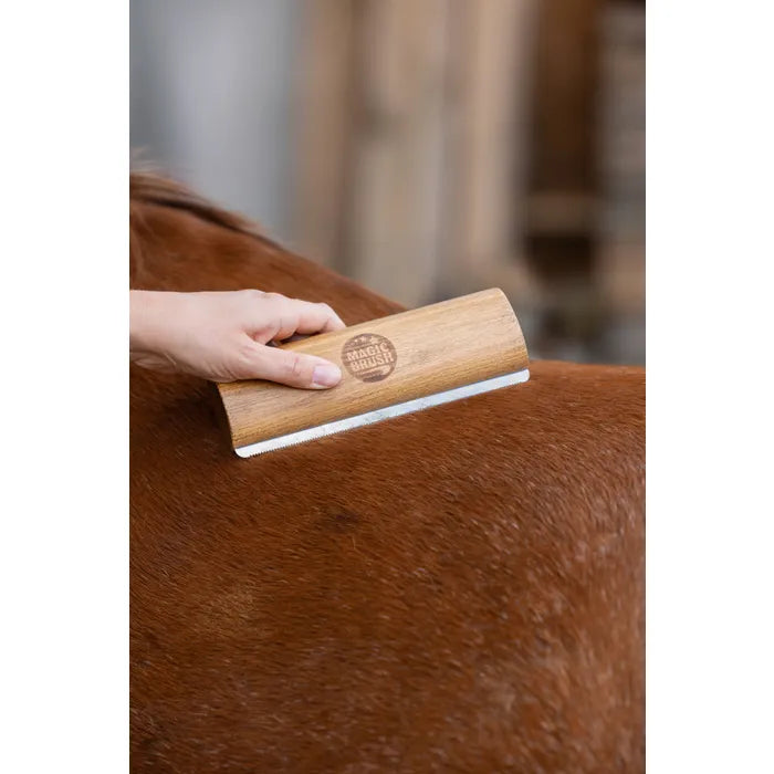 Brosse de mue MagicBrush Fellboy à dents métalliques, manche en bois