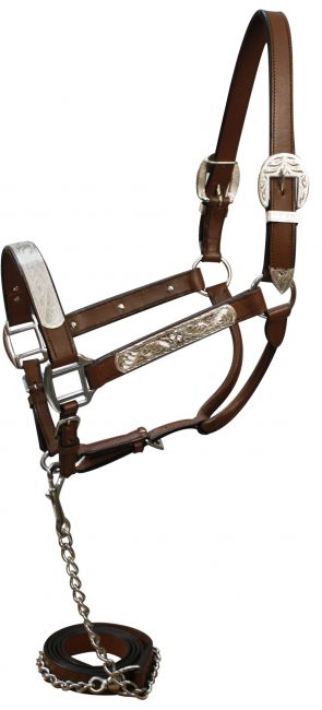 Licol de présentation western en cuir marron avec chaîne de conduite