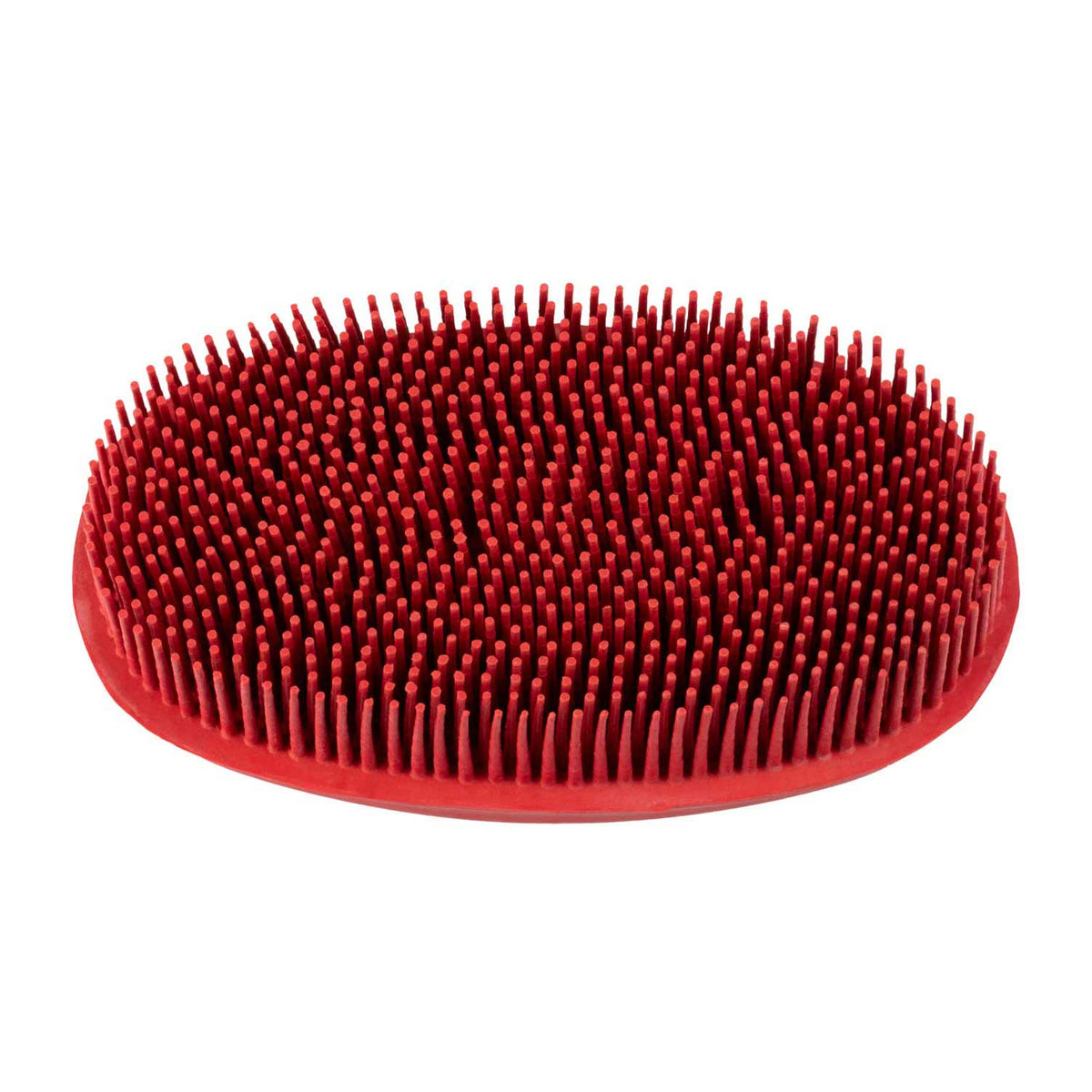 Étrille ronde souple pour la tête et le bout du nez
