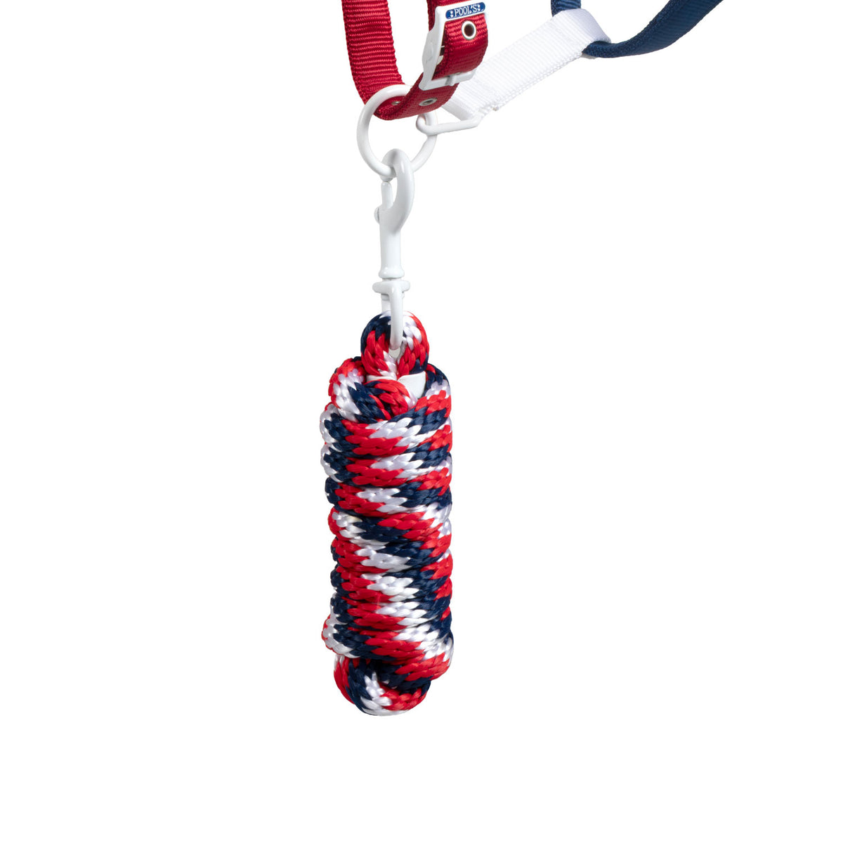 Licol western Pool's en nylon modèle USA avec longe, rembourrage néoprène