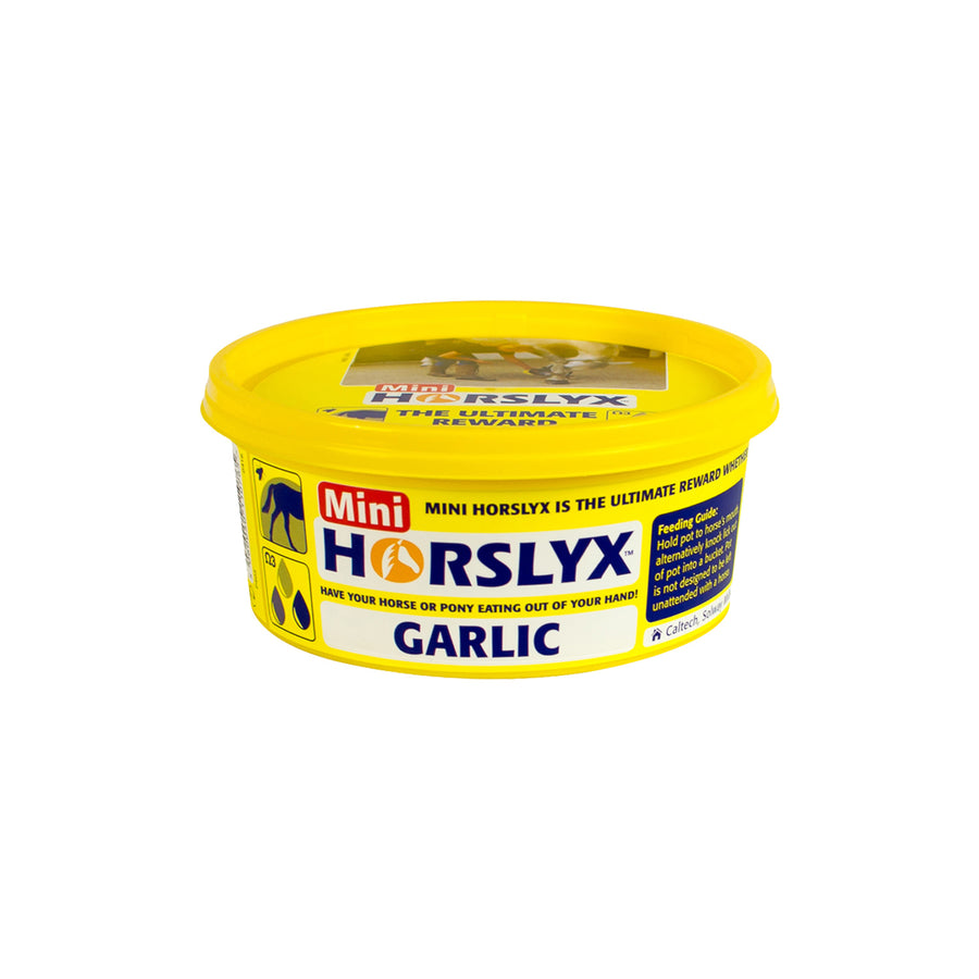 Bloc à lécher Horslyx à l'ail pour chevaux, 650 g ou 5 kg