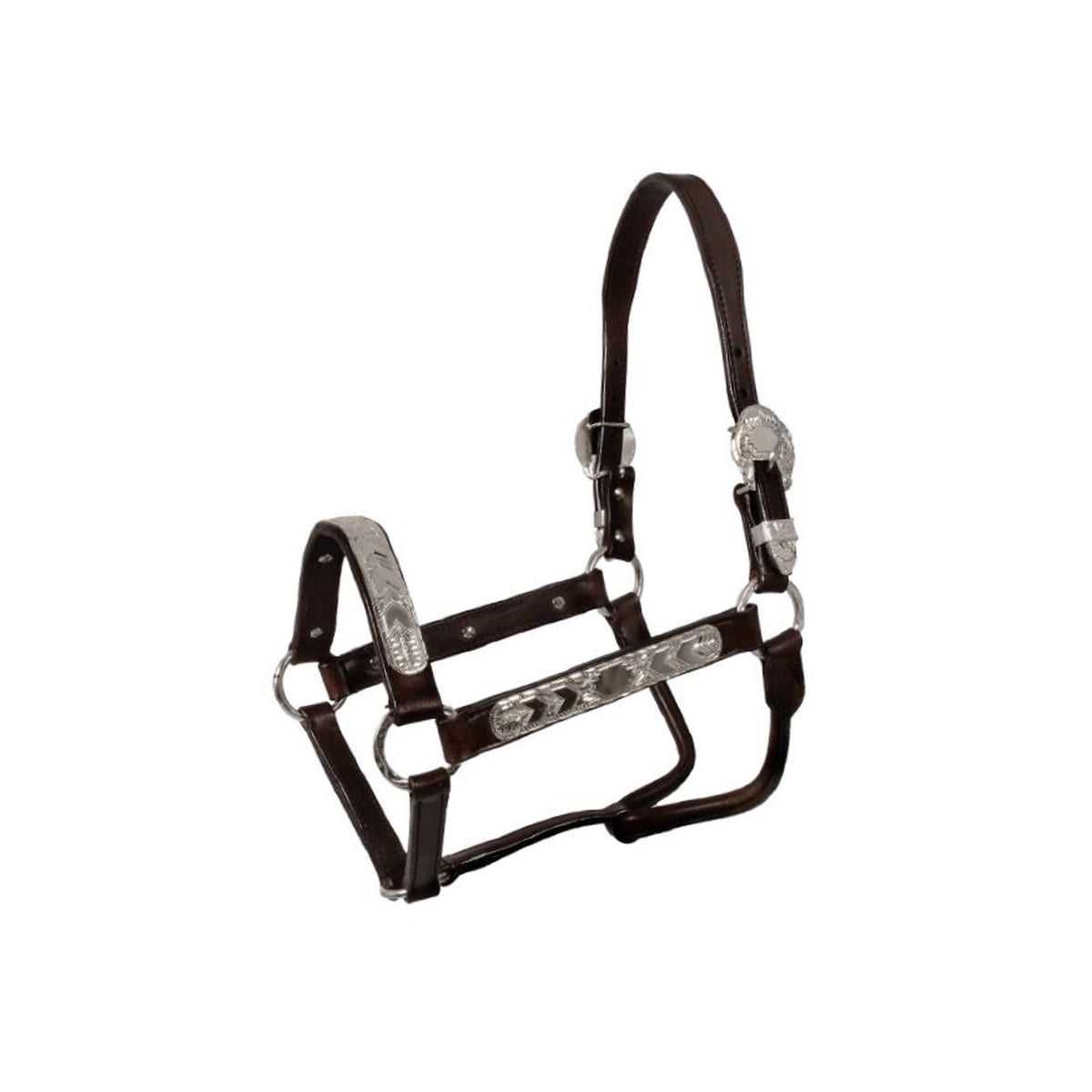 Licol western Pool's en cuir avec ornements en argent