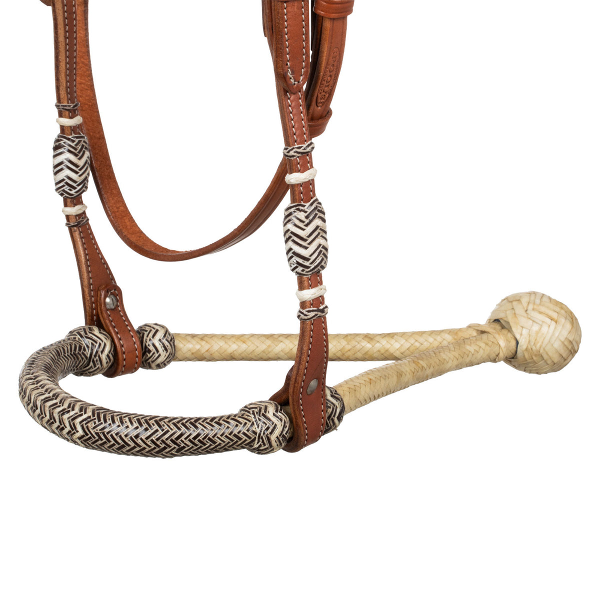 Bosal Pool's avec têtière en cuir tressé et rênes mecate en coton