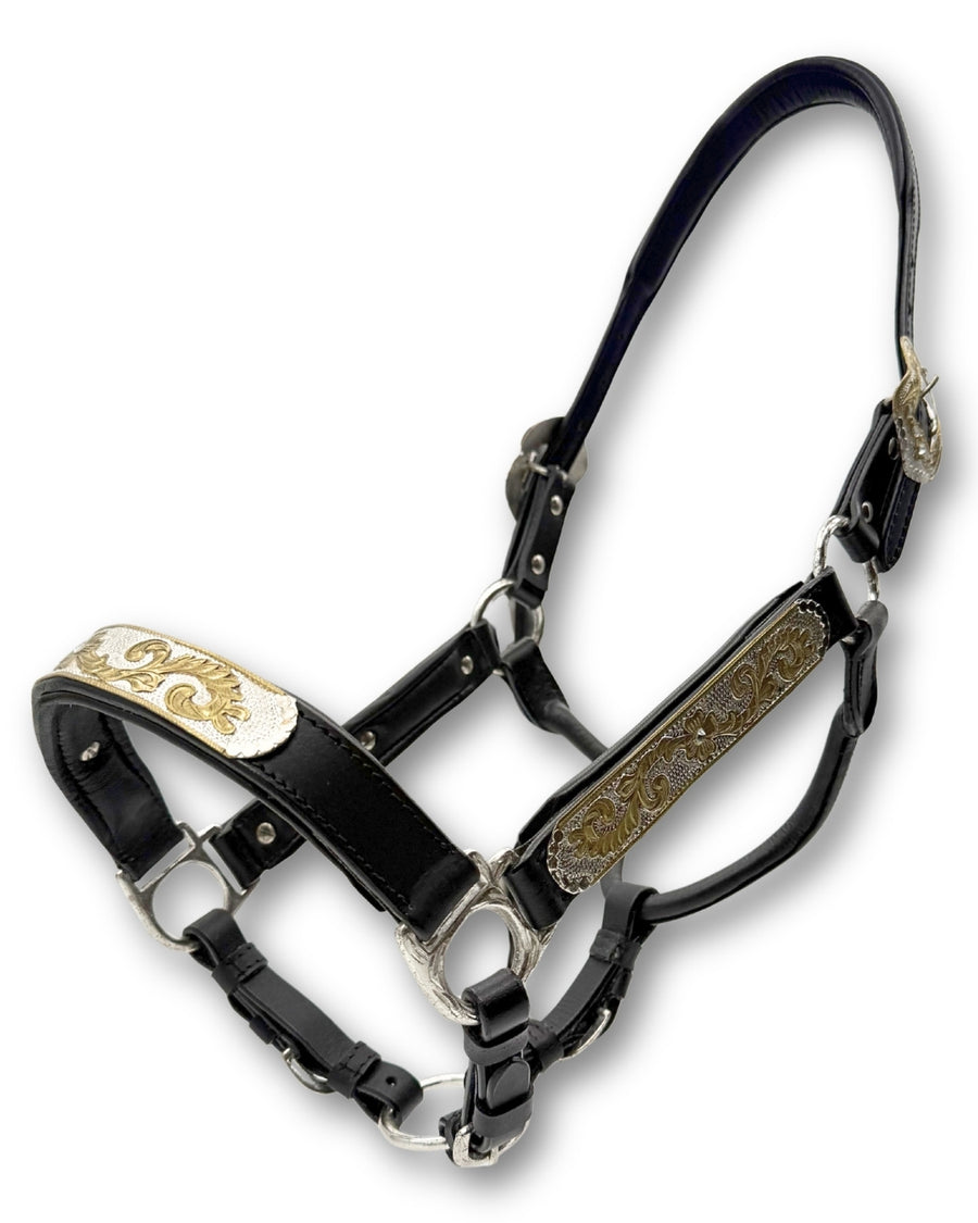 Licol de présentation western cuir noir rembourré, décor argent et or