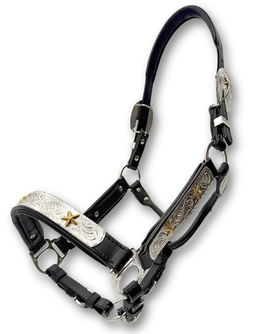 Licol de présentation western cuir noir rembourré, étoiles dorées