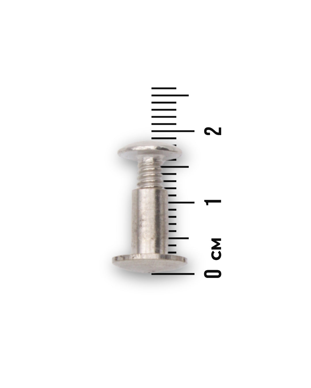 Vis Chicago pour bridon et rênes western, 1 à 1,9 cm, à l'unité