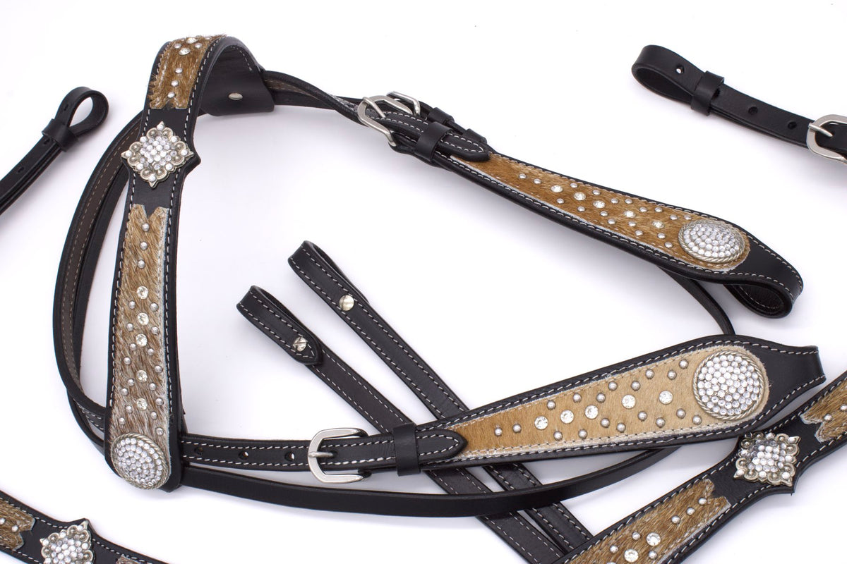 Ensemble western noir, collier à boucle de ceinture strass, crin, rênes