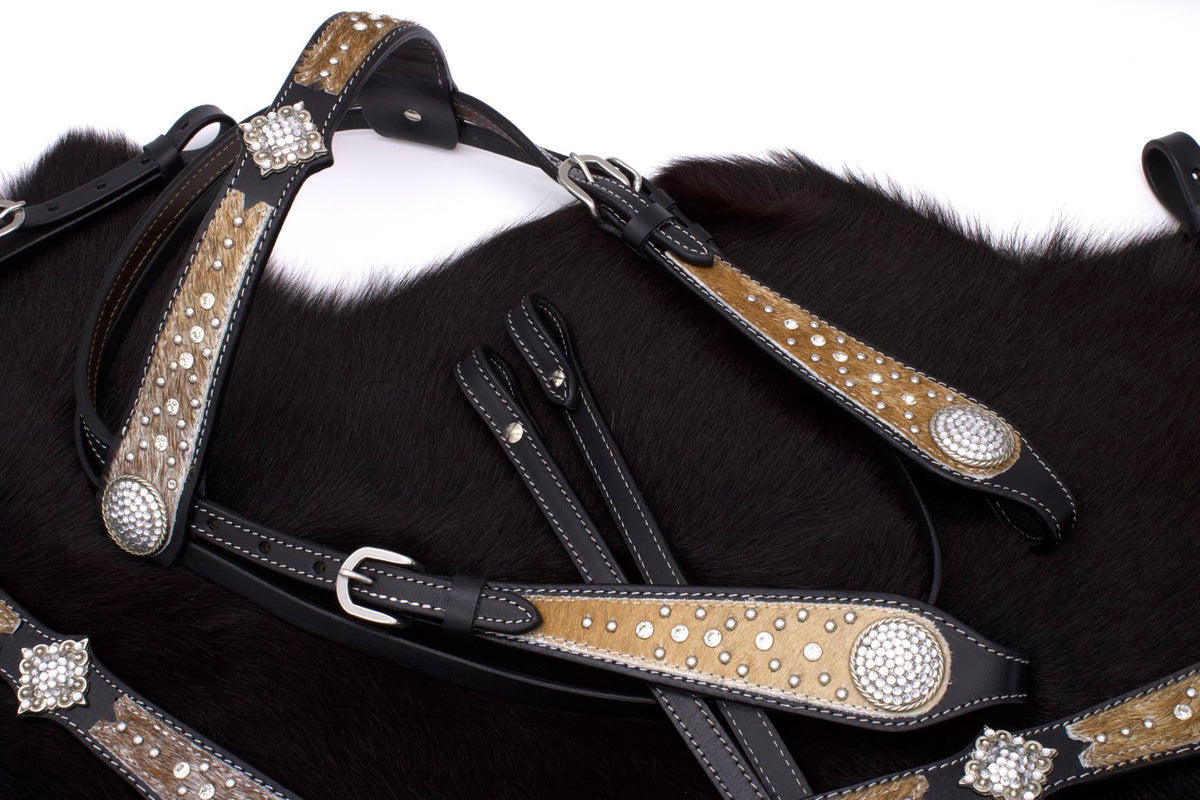 Ensemble western noir, collier à boucle de ceinture strass, crin, rênes