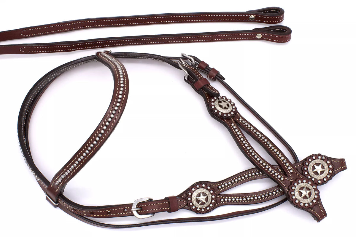 Bridon western bordeaux, montants fendus, conchos étoile texane, rênes