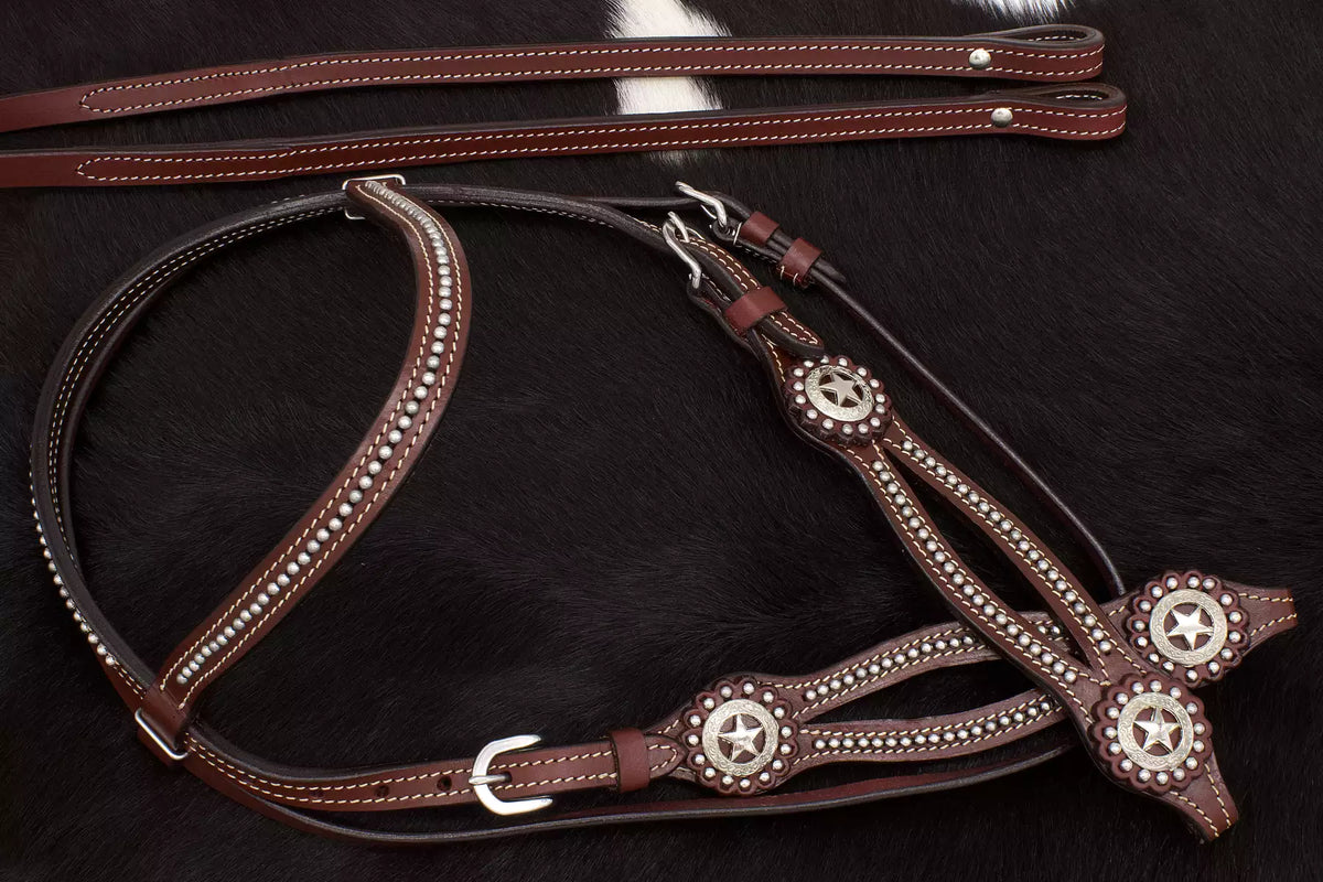 Bridon western bordeaux, montants fendus, conchos étoile texane, rênes