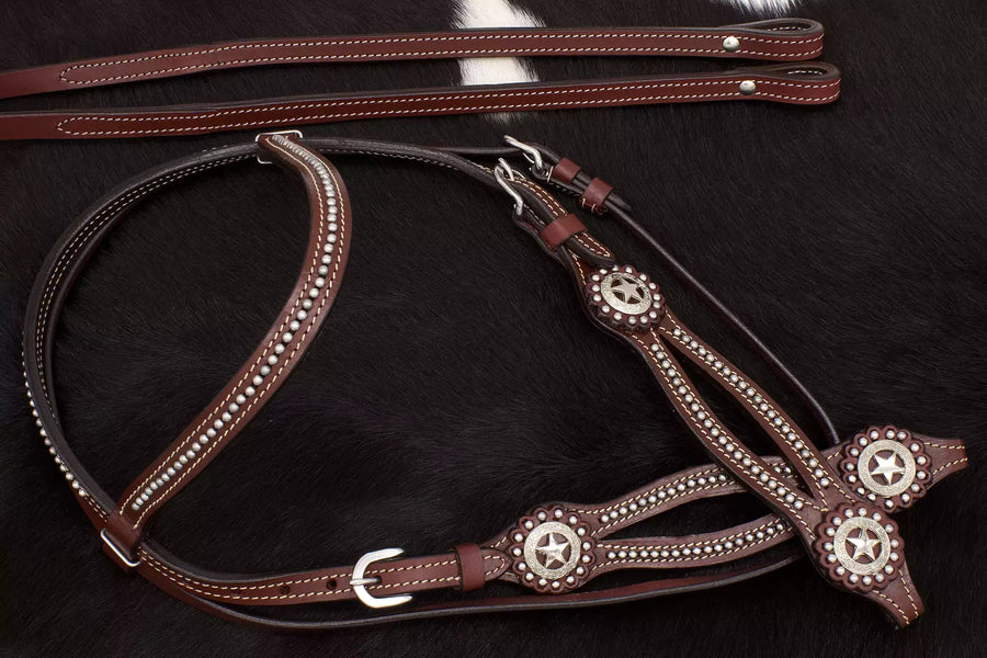 Bridon western bordeaux, montants fendus, conchos étoile texane, rênes