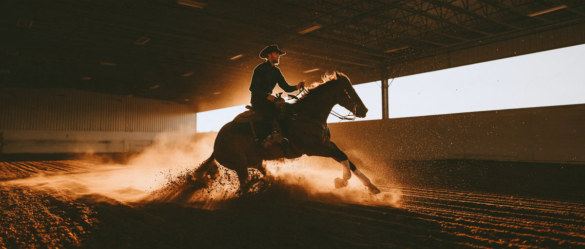 Cavalier en arrêt glissé de reining dans un manège poussiéreux