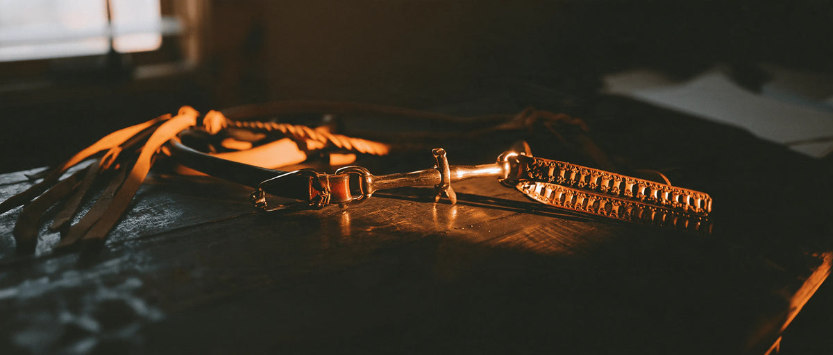Slobber straps en cuir attachés à un mors